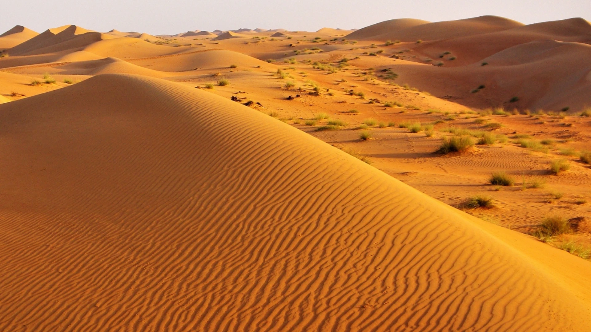 Oman - tour package image